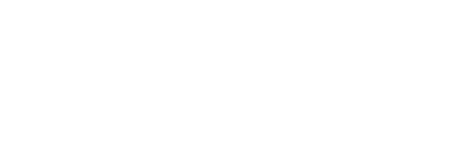 Logo Nobel und Company un weiss