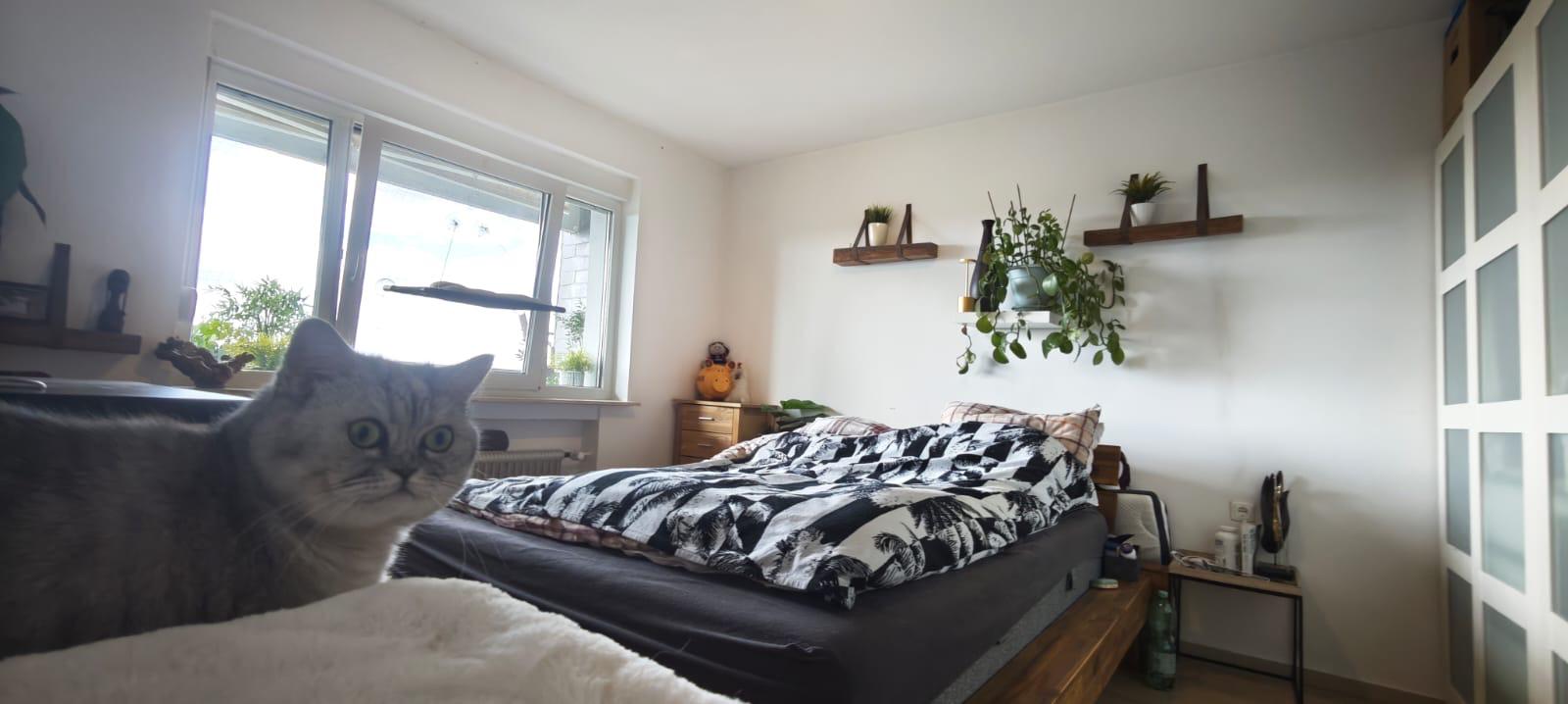 1. Schlafzimmer