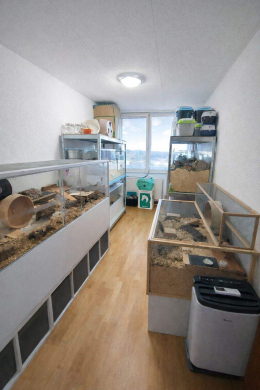 Schlafen 1 - Wohnkomfort mit Aufzug und Balkon – großzügige 3-Zimmer-Wohnung